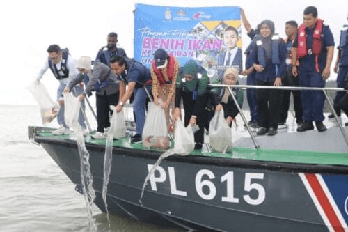 4.69 juta benih ikan dilepaskan, tingkat populasi ikan 1 image 206